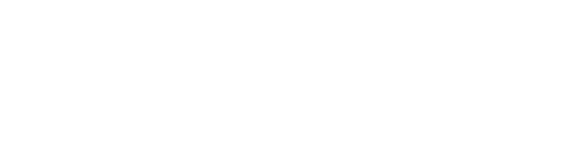 Mobile Wegostores